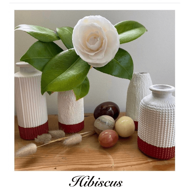 Hibiscus