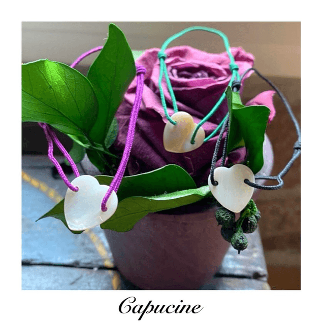 Capucine
