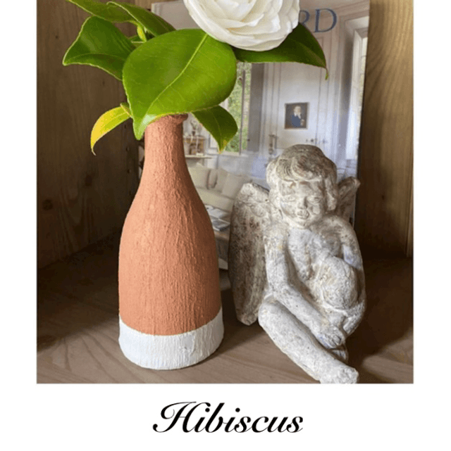 Hibiscus