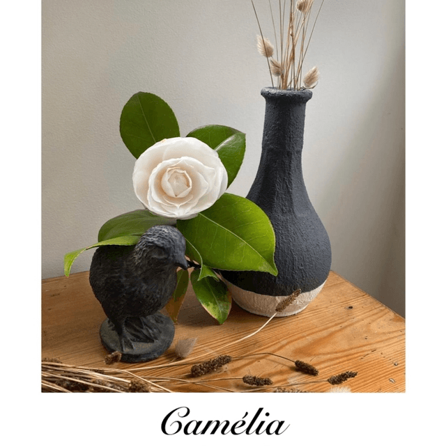Camélia